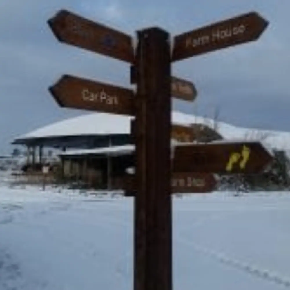 Wooden Yare Valley signpost standing in the snow, pointing visitors towards the car park, farm shop and other farm areas.