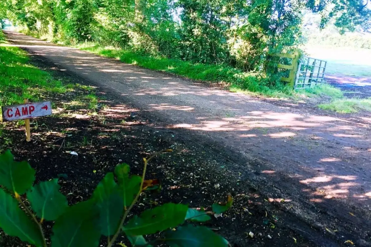 Shaded farm track at Yare Valley with a small camp sign pointing towards the camping area.