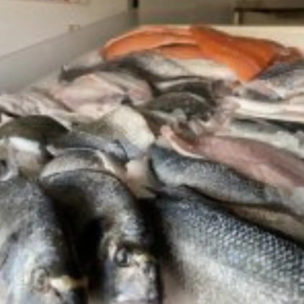 Fresh fish and salmon fillets displayed in a chilled counter at Yare Valley Farm Shop.