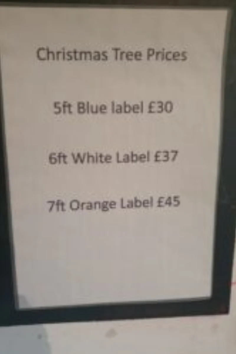 Christmas tree price sign showing 5ft, 6ft and 7ft trees with blue, white and orange label prices.