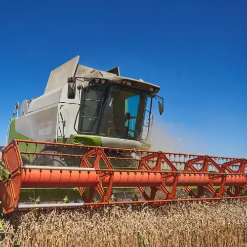 Combine harvester harvesting oilseed rape seeds in a farm field under a clear blue sky